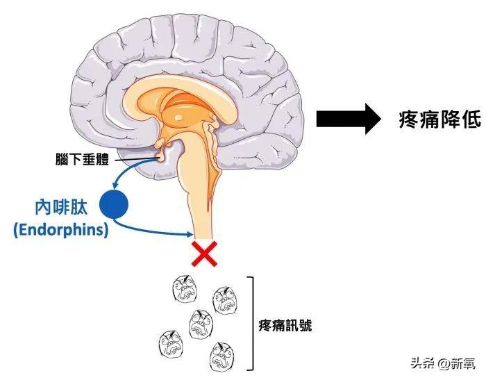 朴敏英演的电视剧，朴敏英十部经典电视剧（朴敏英的《月水金火木土》甜疯了）