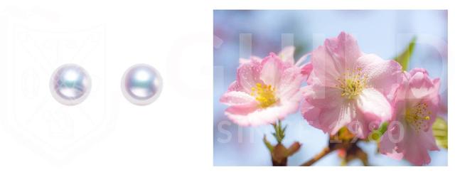 什么珍珠最好，什么珍珠最好看（看懂这4点就能买到高档次的珍珠）