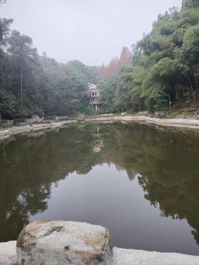 歌乐山森林公园，重庆旅游必去景点（歌乐山国家森林公园）