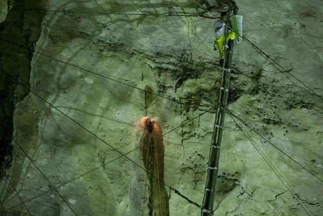 燕窝多少钱一斤，燕窝价格多少一斤（小哥筑屋引燕一个月产5斤燕窝）