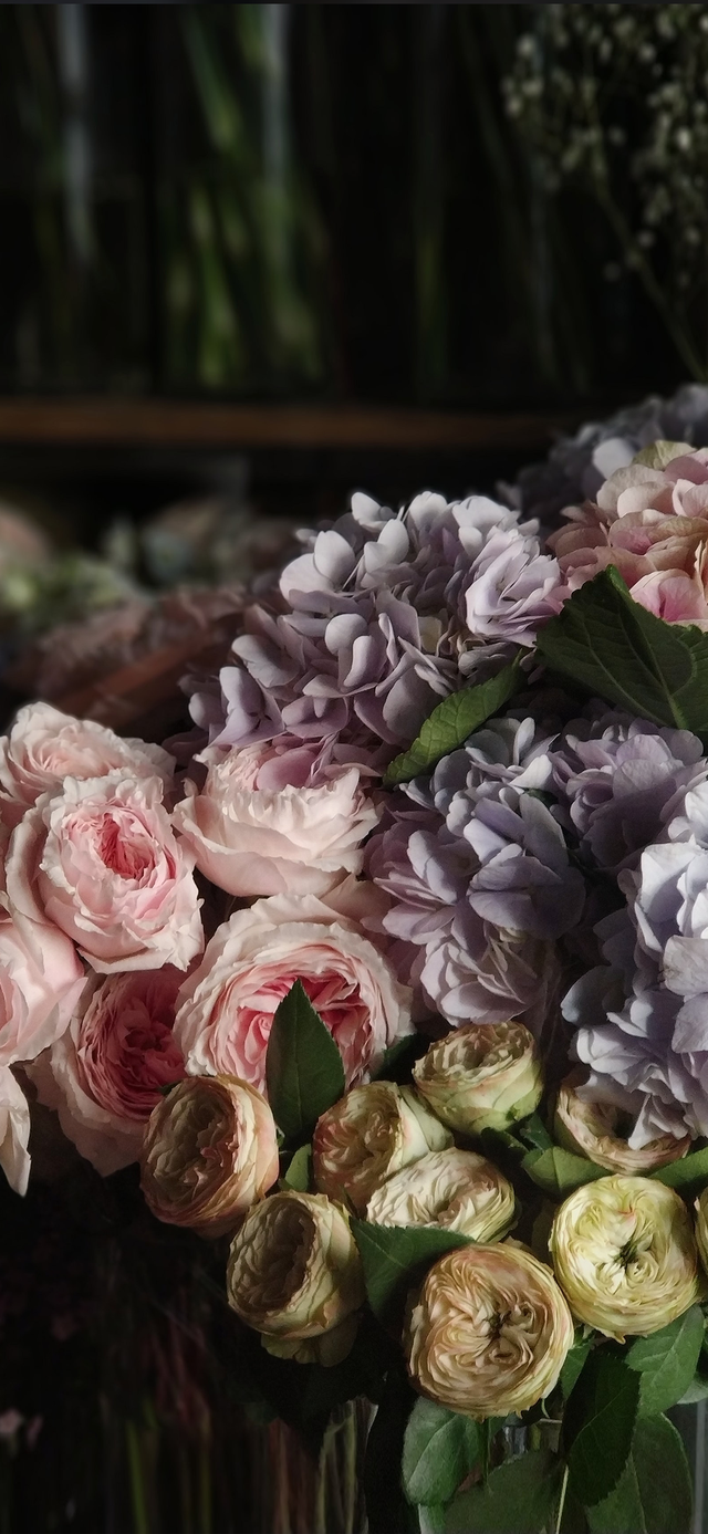 风景静物背景图|谢谢光临.，静物背景图片（花卉摄影壁纸图文解说）