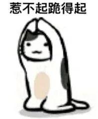 斗图专用，斗图专用表情包熊猫头（表情包，斗图专用表情）