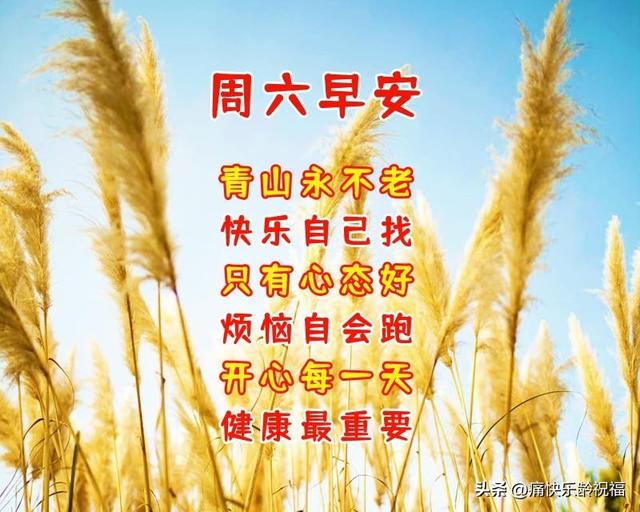 关于幸福快乐的句话，关于幸福快乐的句话有哪些（8月6日周六早上好暖心话）