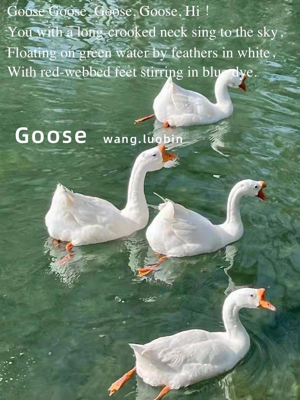 英语小诗(简单)，英语小诗简单好背的（必背古诗的英文版是这样的）