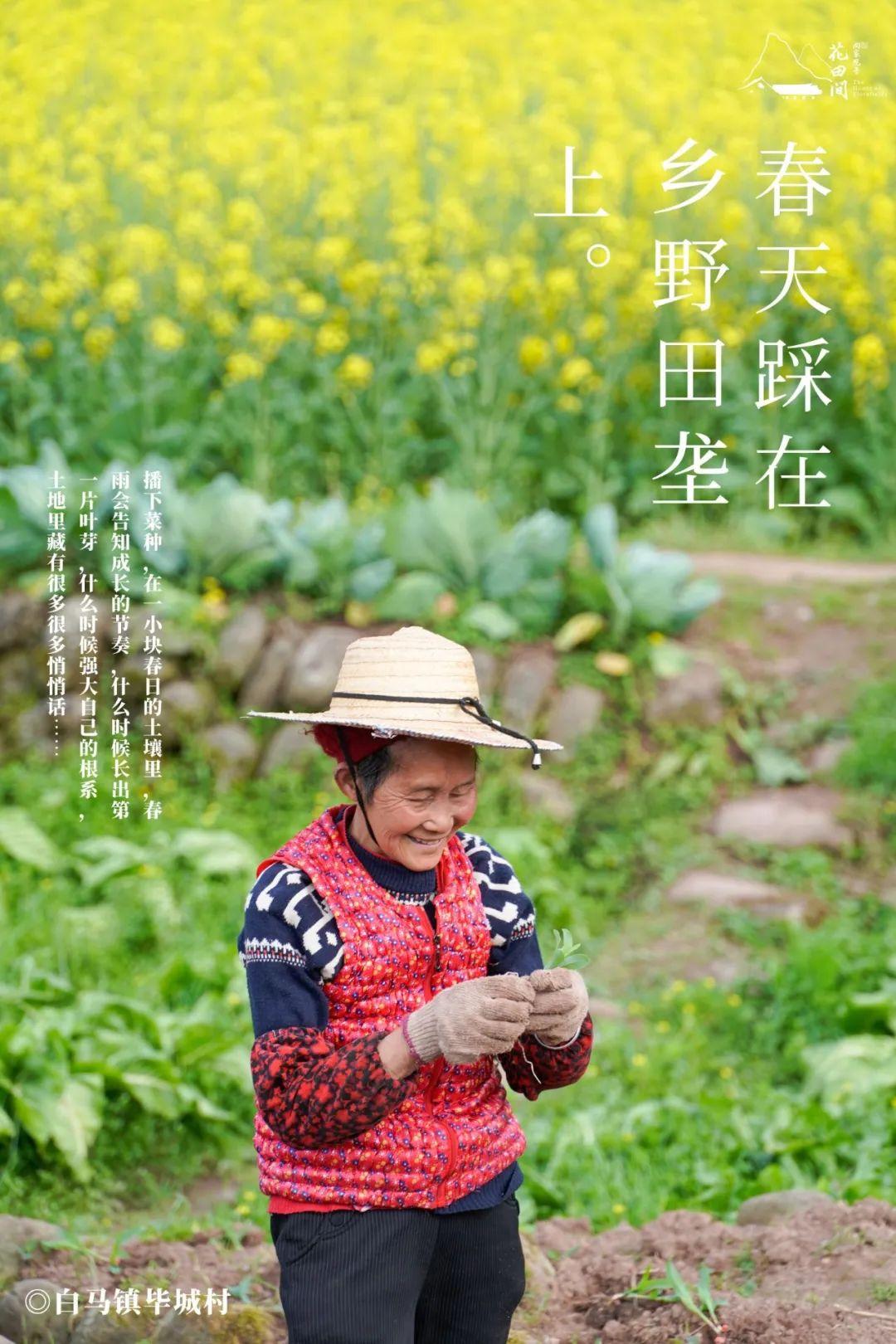 春天的田野圖片（鄉村田野風光）