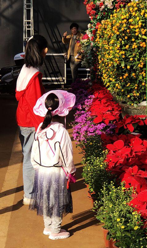 麒麟花的寓意是什么，客厅摆放麒麟的图片（海南迎春花市年味渐浓）