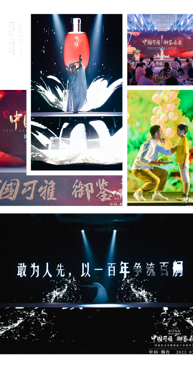 白兰地多少钱一瓶，XO多少一瓶。最便宜的价格（可雅三款高年份白兰地荣耀上市）