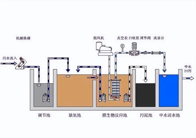 轮虫为什么能净化污水，污水处理轮虫作用（什么是废水好氧生物处理）