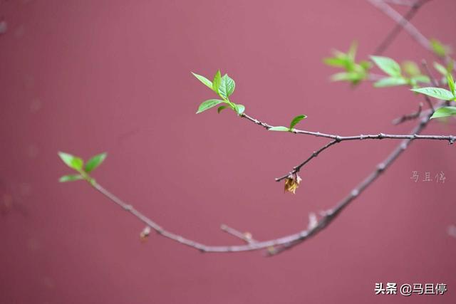 杭州有哪些景区比较值得去，杭州必去十大景区（让你领略自然和人文双重景致）