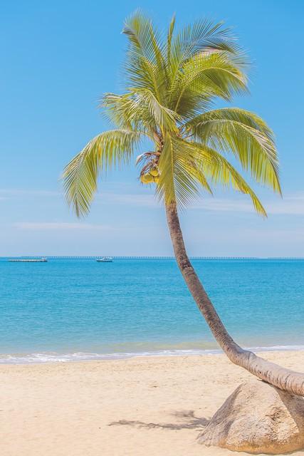 做什么梦说明爱情要来了，什么梦预示真爱到了（爱情魅力追求梦）