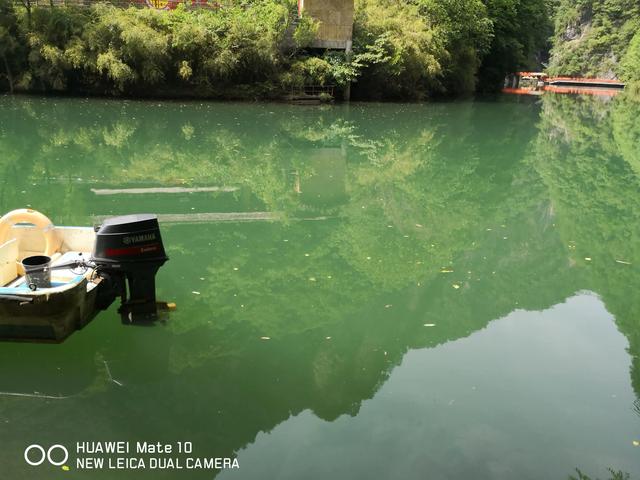 美丽的金丝峡景区，大秦岭的封面—金丝峽