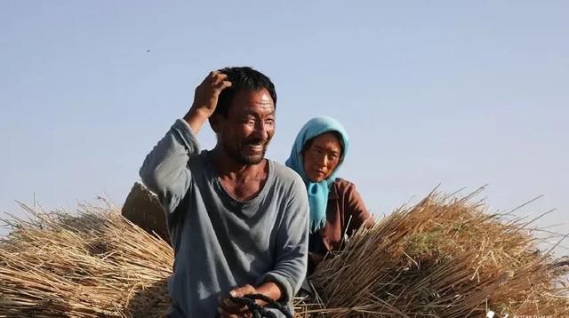 秋天的命运演员表，夏妍的秋天演员表（“西北宇宙”又打出一副王炸）