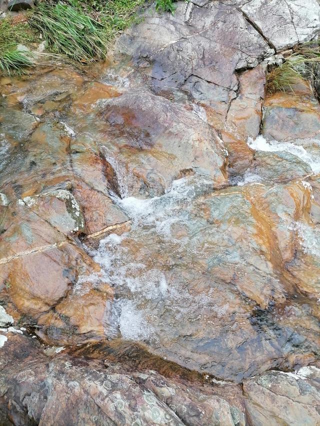 大自然的搬运工，大自然的搬运工是什么动物（大自然的搬运工是什么动物日记）