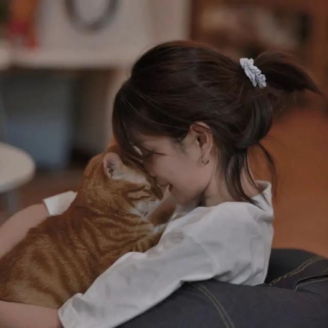 猫系女孩，微信头像，猫系女孩（女生头像：抱猫头像）
