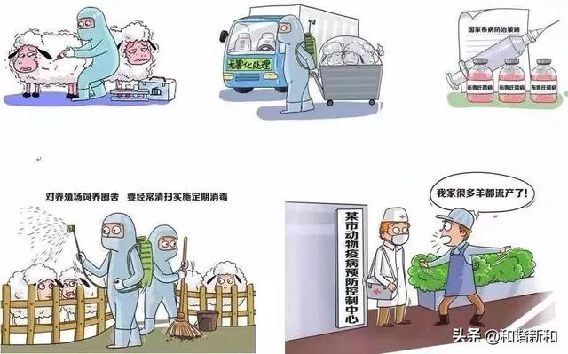 布病不治疗能够自愈吗，布病不治能自行痊愈吗（布鲁氏菌病的防护知识）
