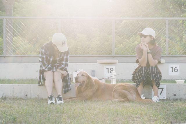 张震岳的《玩乐令》 歌词，张震岳的《玩乐令》（阿那亚，怎么住）