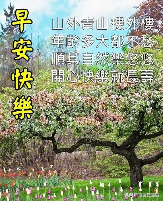 祝福事业的祝福语，事业的祝福语有哪些（5月24日清晨早上好图片问候带字语句）
