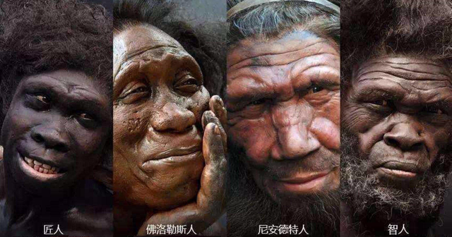 关于尼安德特人介绍，尼安德特人是怎么来的（两个智人都打不过一个尼人）