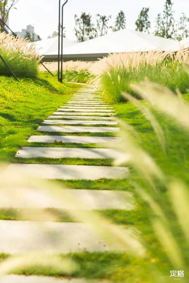 深圳好玩的免费景点，深圳哪里好玩的景点（来深圳这10个地方免费玩）