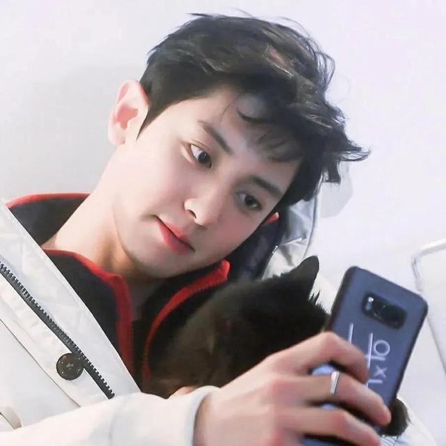 exo表情包，微信头像，exo表情包（EXO高质量茶蛋头像）