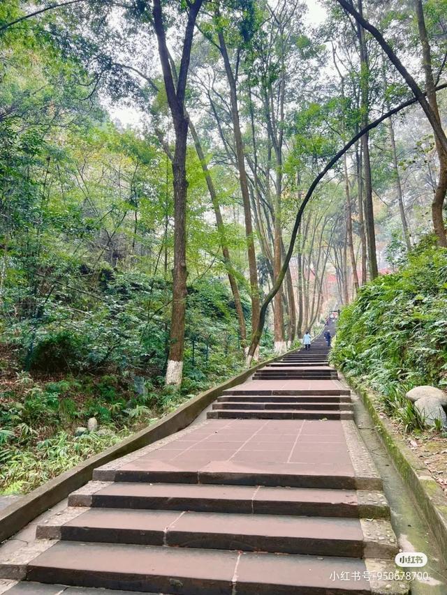 附近景区哪里好玩，宁波附近哪里好玩（大都1天打来回）