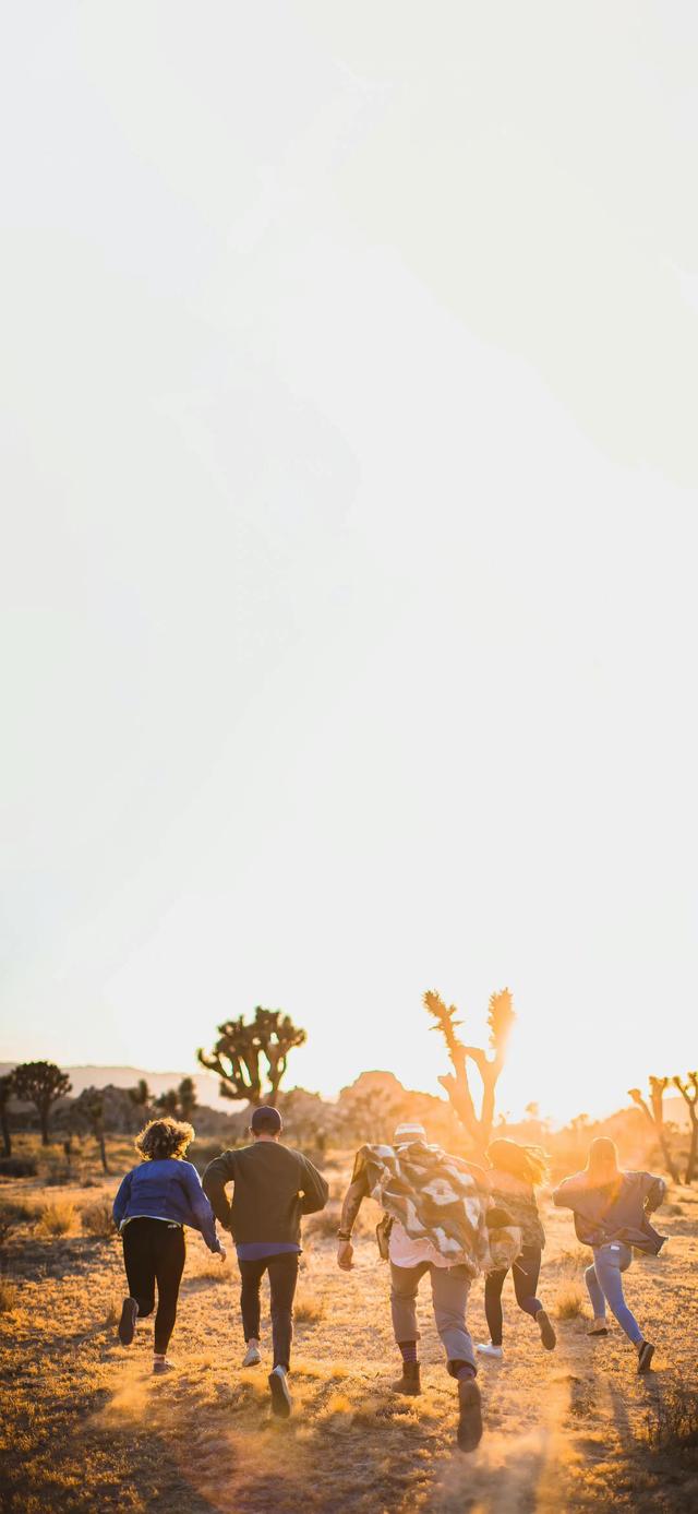 落日与晚风深情的相拥是什么歌，落日与晚风表达的什么（壁纸，落日与晚风深情的相拥）