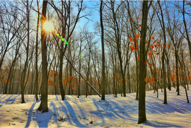 2022年除夕前后会下雪吗，2022年春节会下雪吗（天气预报：年关将至）