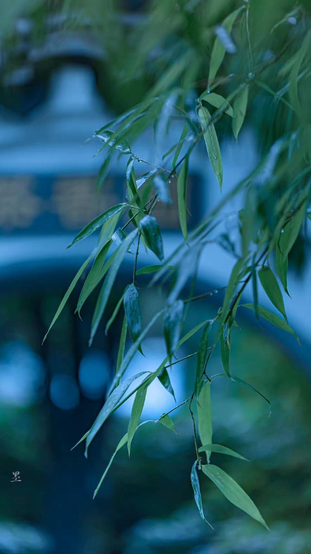 下雨的唯美诗句，描写下大雨的优美句子（四首唯美秋雨诗词）