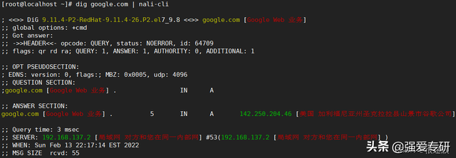 Linux-nali解析IP归属信息
