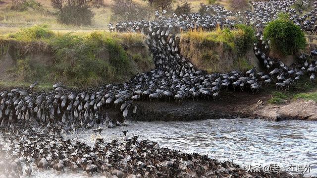 坦桑尼亚首都是哪，坦桑尼亚首都在哪里（坦桑尼亚是一个怎么样的国家）