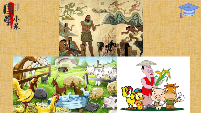 牲畜是指什么动物，畜牲是动物吗（国学经典《三字经》“马牛羊）