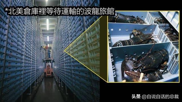 小龙虾属于海鲜类吗，小龙虾是海鲜吗（龙虾：从小龙虾到大花龙）