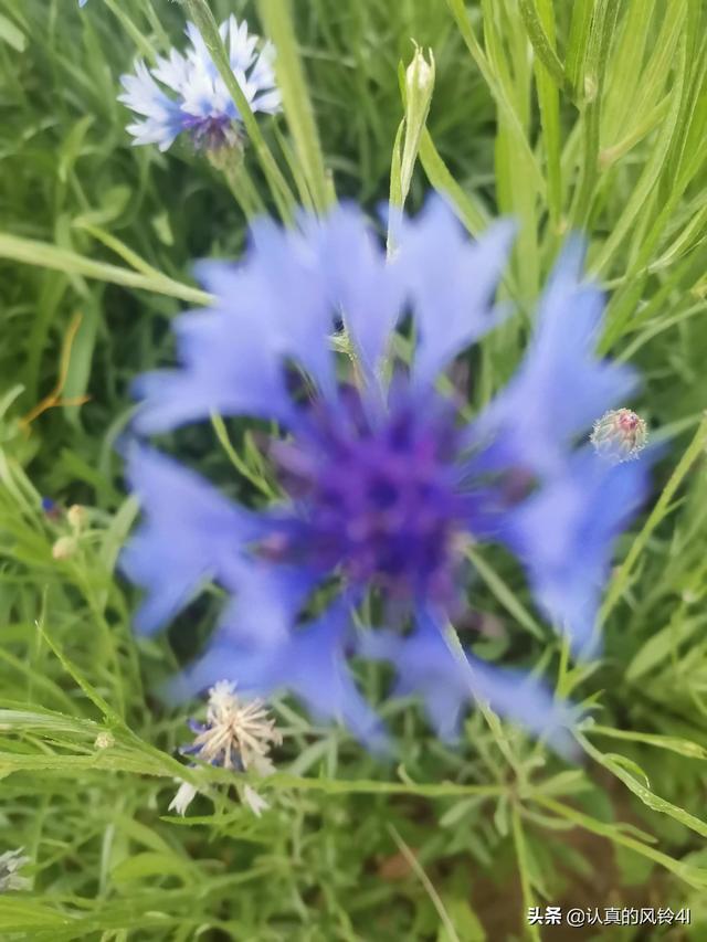 老公还有什么其他称呼，老公的100种叫法（老公的称谓）