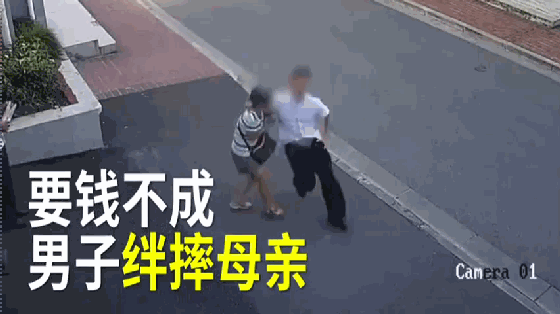 七旬父母杀孽子案，成不感恩的孽子究竟谁之错