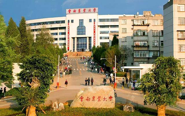昆明理工大学全国排名，昆明理工大学排名全国第几位（2022中国大学排名出炉）