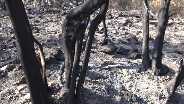 富士山在日本哪里，富士山在日本的哪个地方（沉寂300年的富士山）
