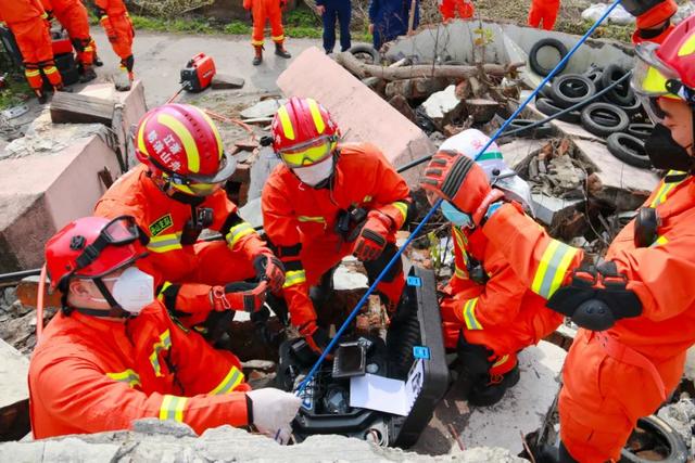 身强力壮的意思，十二生肖盘点消防员特质（身强力壮是什么意思）