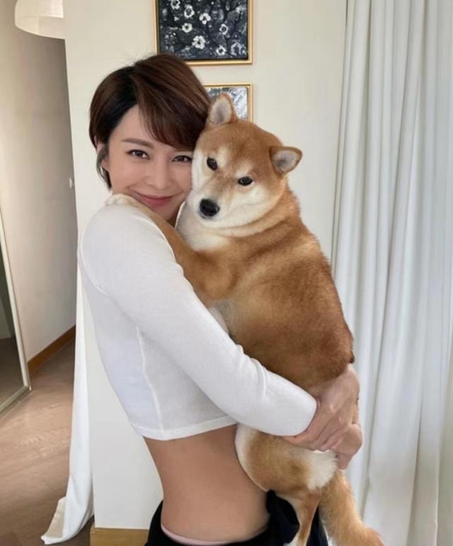 夜蒲是什么意思，夜蒲歌曲原唱（TVB力捧花旦曝与混血男友因夜蒲相识）