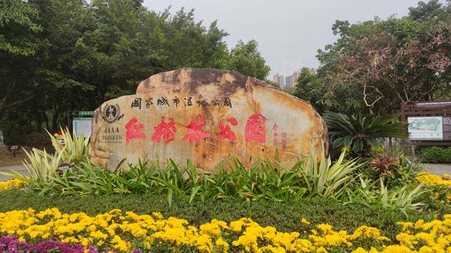 惠州大亚湾红树林城市湿地公园 - 周末观景遛娃好去处