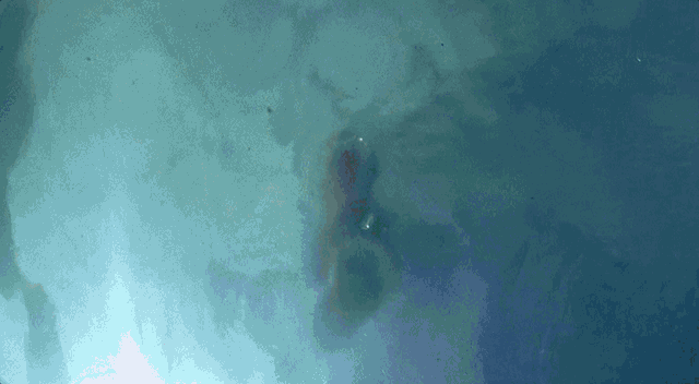 台剧那一天结局，台剧那一天剧情介绍（撕开资本家丑恶嘴脸）