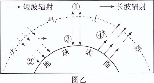 世界八大珍稀植物，2023届高考地理题型突破——必修一