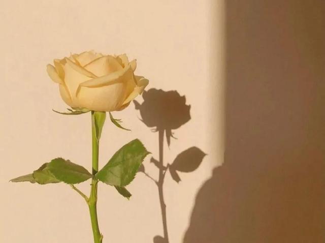 游戏cp名字两人搞怪，游戏情侣名字一对搞怪（你会心动的王者荣耀情侣网名）