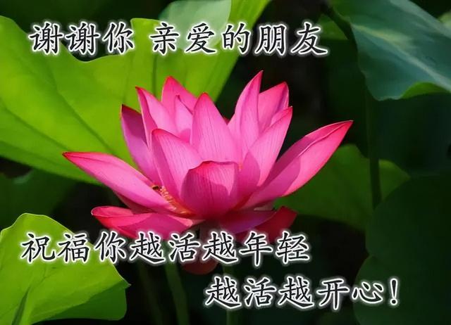 祝福全家的祝福语，2022年春节祝福语全家（直接群发家人朋友的早安祝福语精选大全）