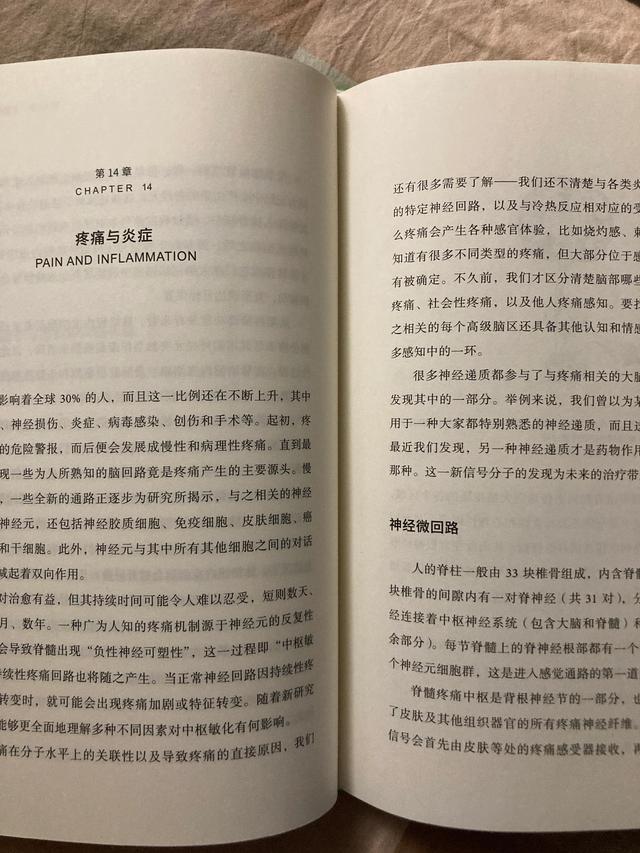 怀孕过程是怎样，怀孕过程怎样阻止（你的身体是怎么运作的）