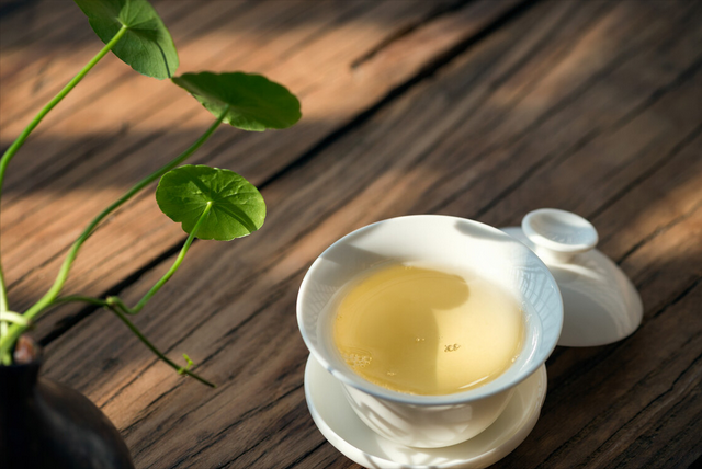 乌龙茶铁观音和大红袍，铁观音与大红袍却相差甚远