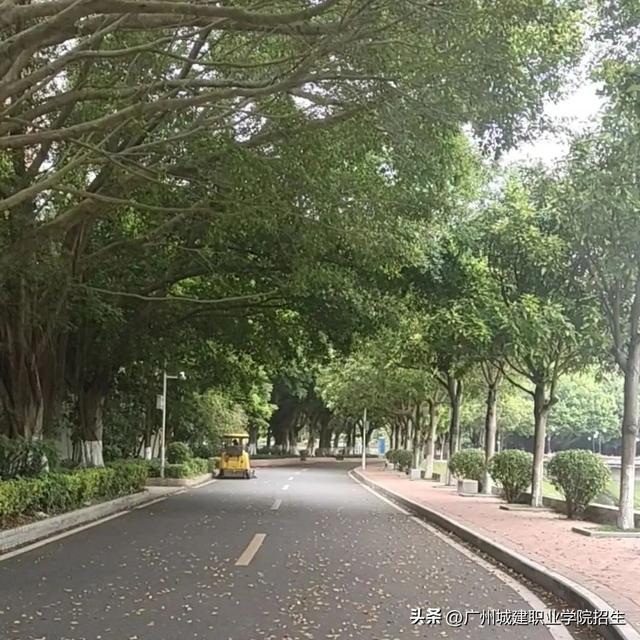 自提柜怎么取快递，邮政包裹怎么自取（城建青年，这些秘密你知道吗）