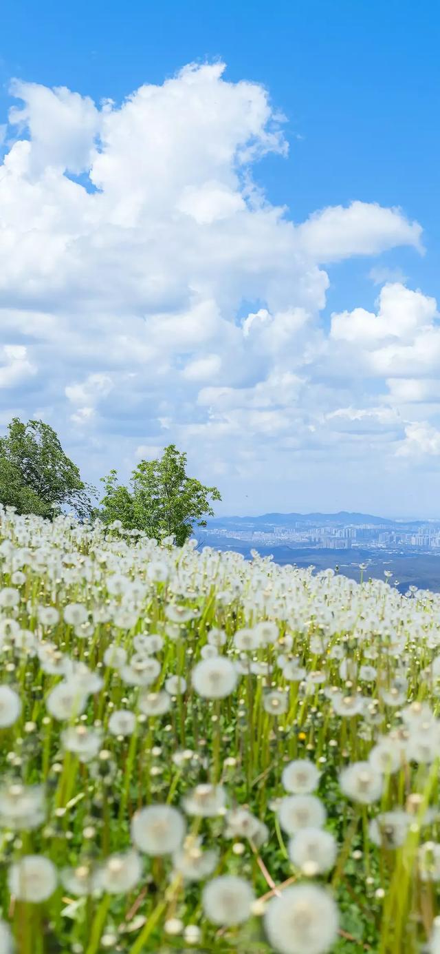 动态风景图片大全,适合发说说的风景图(风景壁纸:走过山山水水)