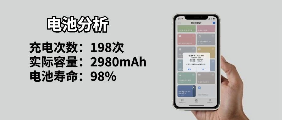 苹果电池寿命查询(怎么查询苹果电池寿命)