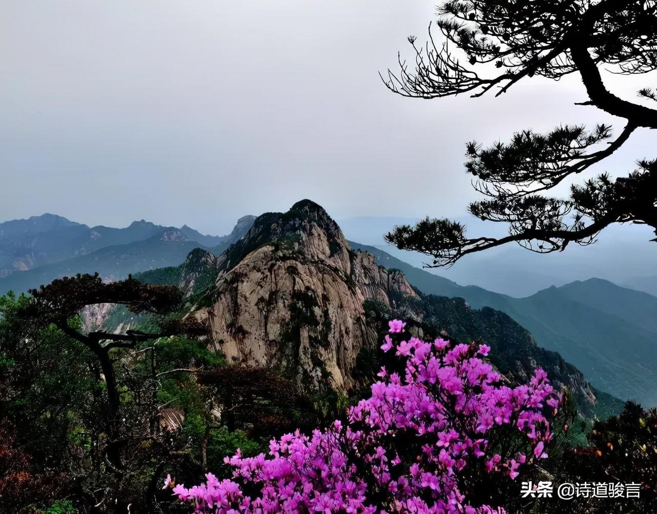 西安兰杜律师事务所怎么样（骏言说诗）