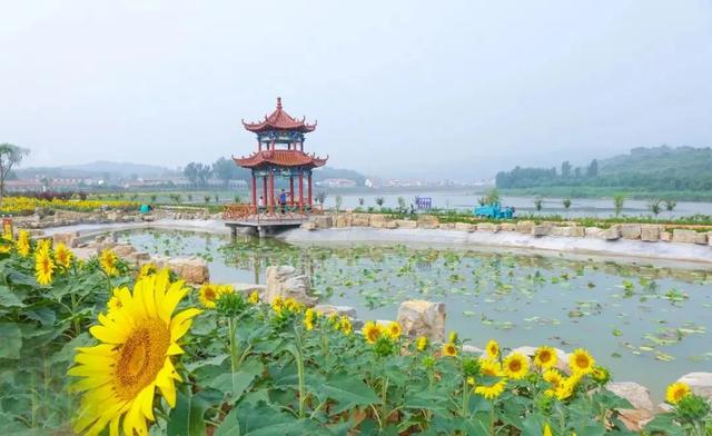 临朐旅游景点大全哪里最好，临朐旅游景点大全哪里最好10大景点（山水临朐暑期精彩线路系列推荐——弥河红色花海石海游）